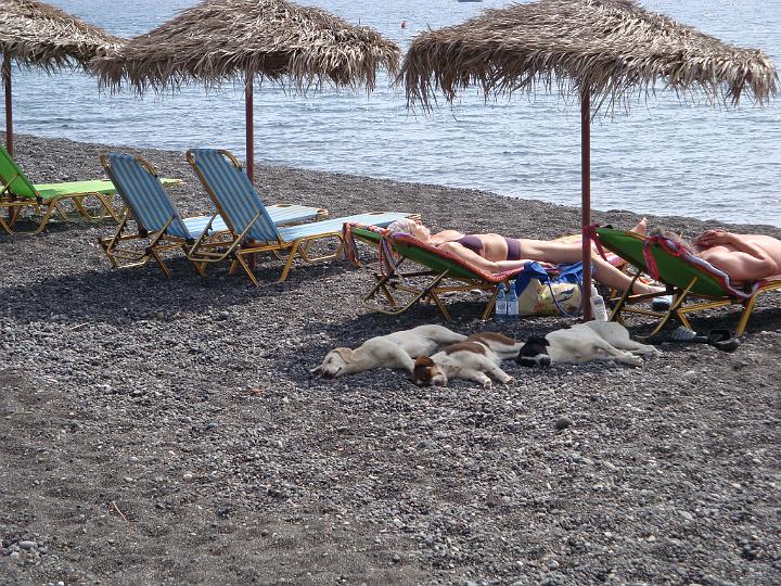 DSC02534.JPG - Der var en lille flok vilde hunde, der opholdt sig rundt om på stranden, her sover de, men en aften vi sad på en af restaurationerne langs stranden, for de rundt mellem strandsengene og jagtede gråspurve, vi så ikke at de fangede nogen